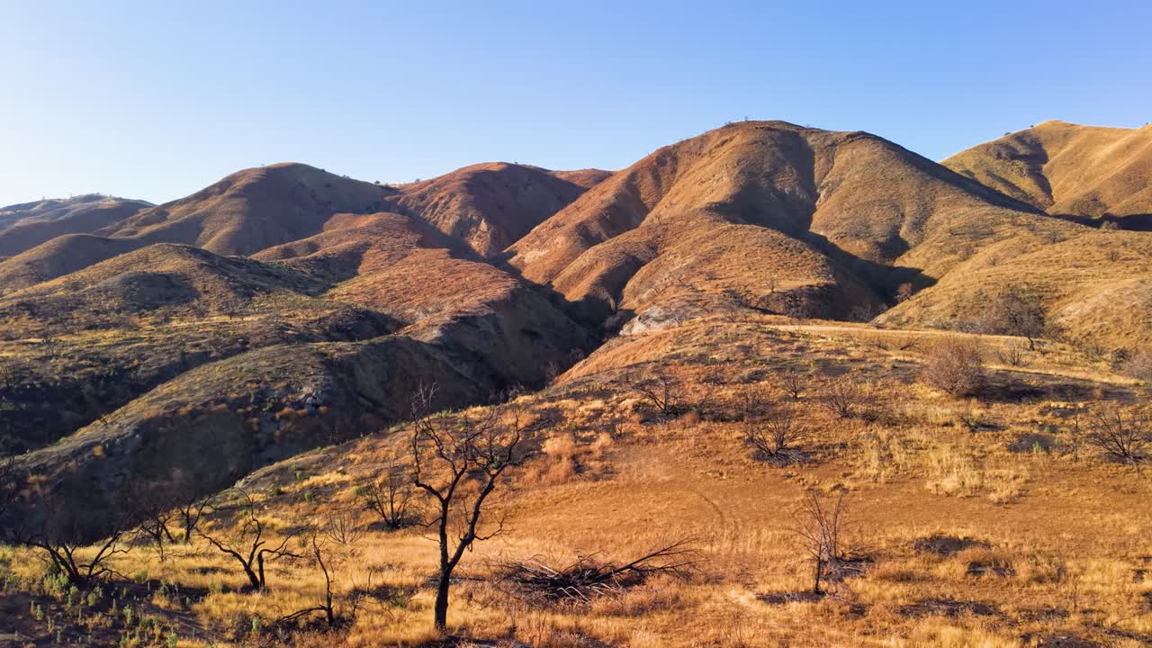 A sobering aerial view of a hilly landscape scarred by a recent wildfire. Burnt trees and scorched earth show the devastating impact of the fire on the environment