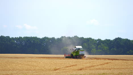 Harvester machine working in field. Combine harvester agriculture machine harvesting golden ripe wheat field