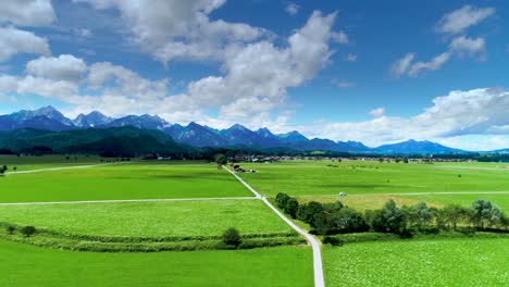 panorama from the air forggensee and schwangau, germany, bavaria