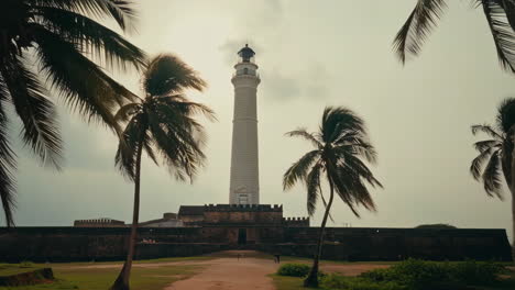 Historic Lighthouse Framed by Tropical Palm Trees