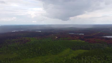 Riesige-Kanadische-Wildnis,-Große-Schäden-Durch-Waldbrände.-Luftpanorama