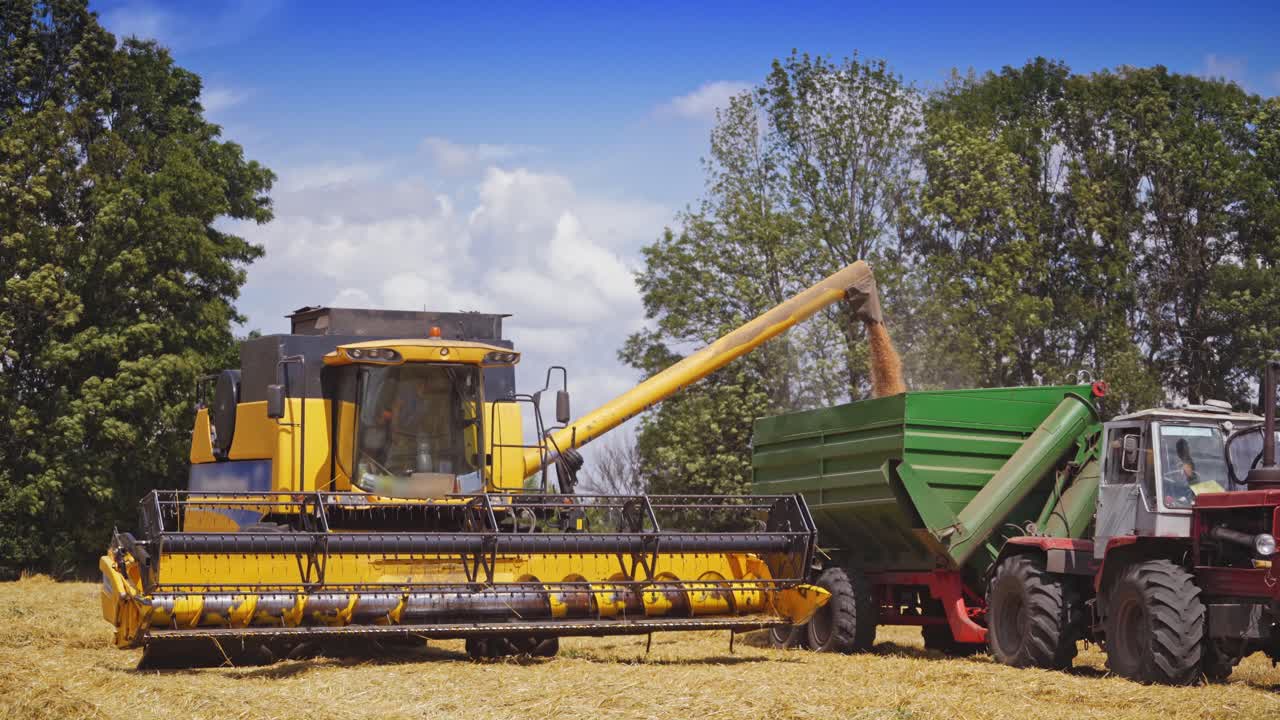 Industrial equipment at harvesting in the field. Huge yellow combine machine pouring out ripe grains into the tractor in the countryside in summer.