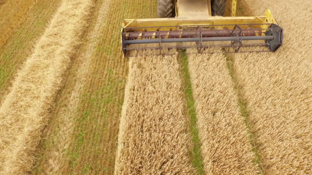 Biçerdöverin drone görüntüsü.