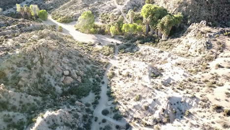 Aerial-View-Of-Desert-Landscape-Surrounding-Cottonwood-Spring,-Joshua-Tree-National-Park