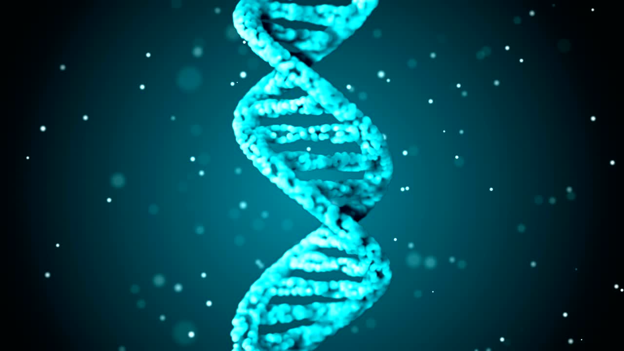 código de adn. abstracto 3d marco de alambre poligonal dna molécula hélice en espiral. animación en bucle.