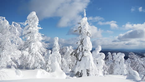 schneebedeckter bergwald unter einem blauen himmel