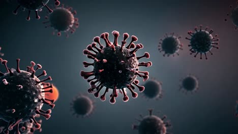 vista microscópica de un virus