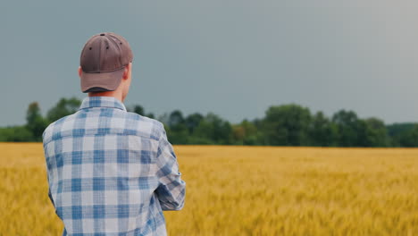 man admires a field of wheat at sunset 2