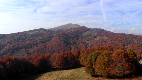 Luftaufnahme-Eines-Farbenfrohen-Herbstwaldes