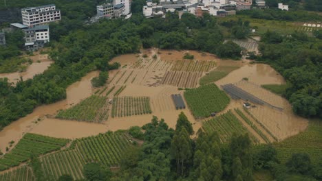 flooded crop fields in china, damages for agricultural business, aerial view