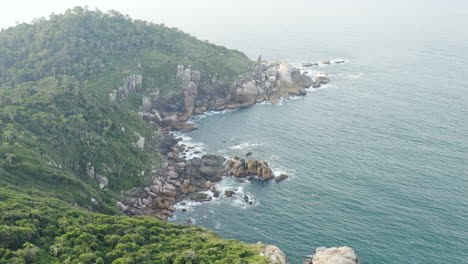 coastline of a paradise rainforest island, campeche island, florianopolis, santa catarina, brazil