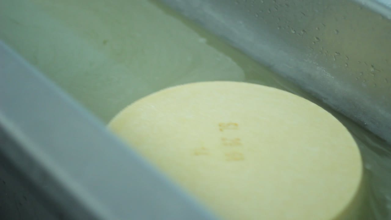 línea de producción de la fábrica de leche. proceso automático de producción de queso