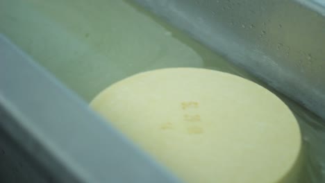 Dairy-factory-production-line.-Automatical-process-of-cheese-production