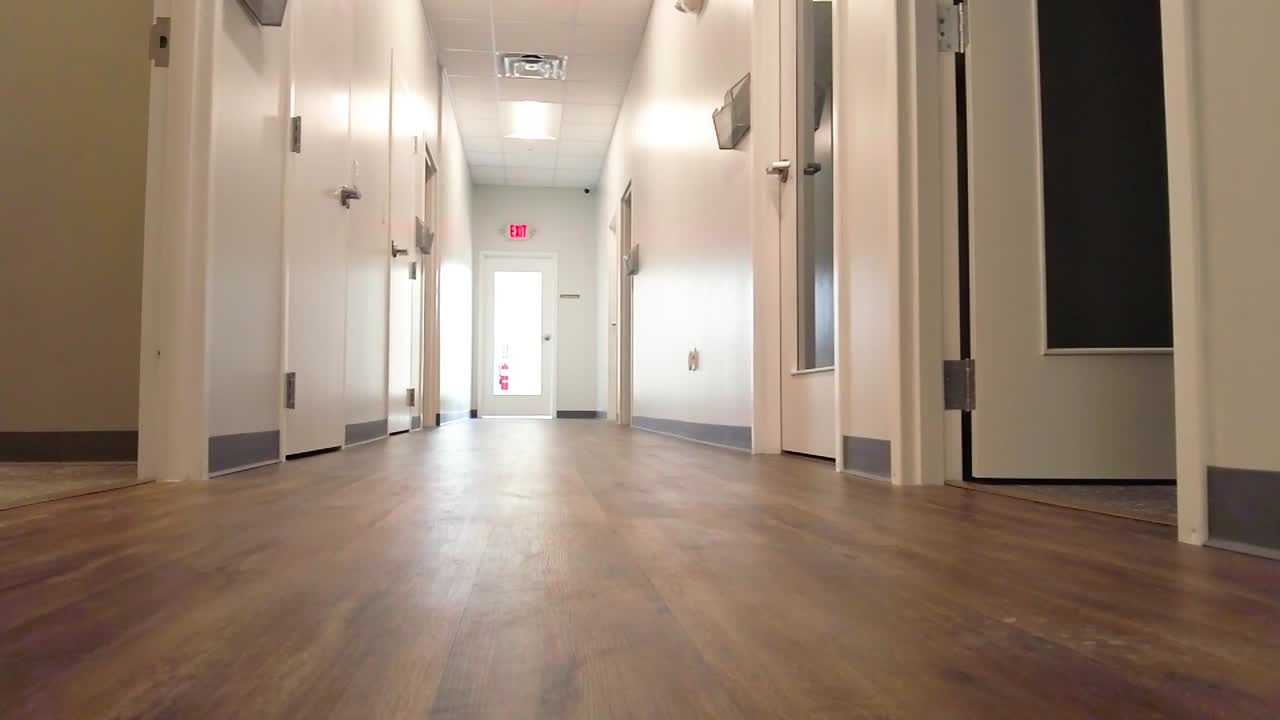 Empty Office Hallway