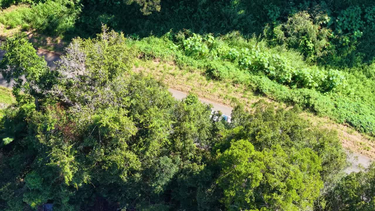 Drone footage captures a car traveling along a forest road, surrounded by dense greenery and sunlight filtering through trees