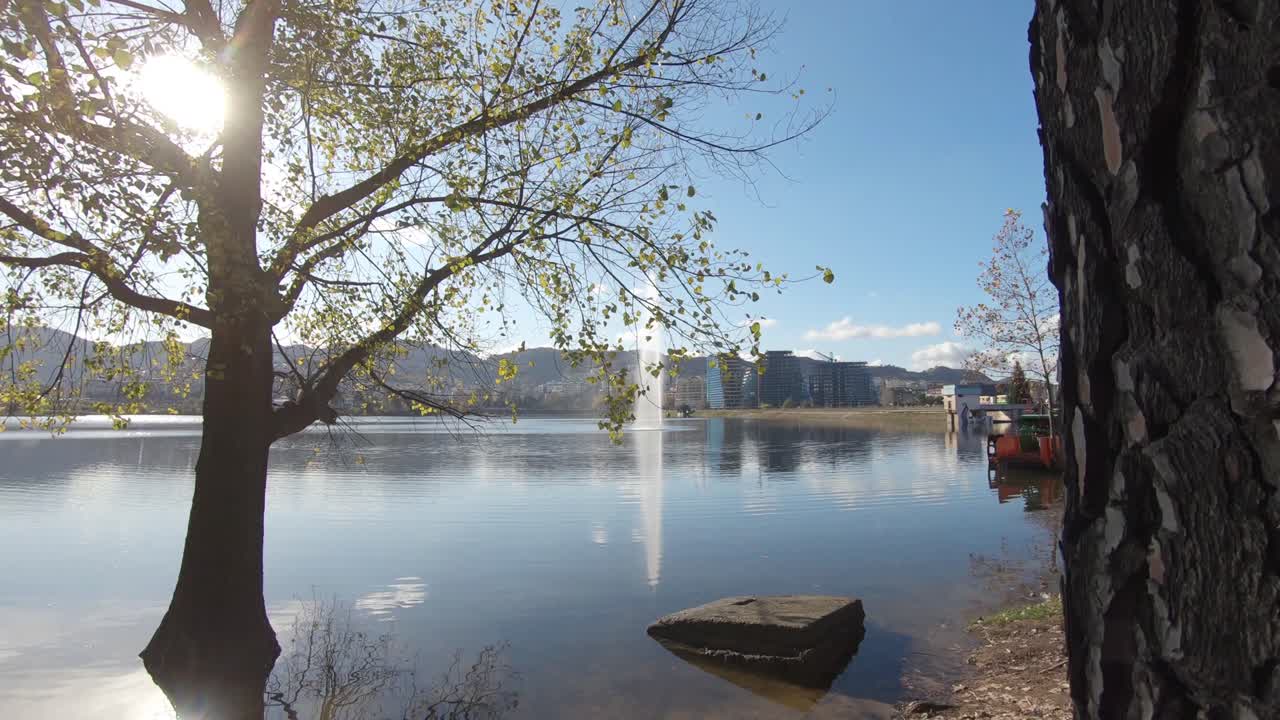 화창한 날 나무가 있는 평화로운 잔잔한 호수에 접근