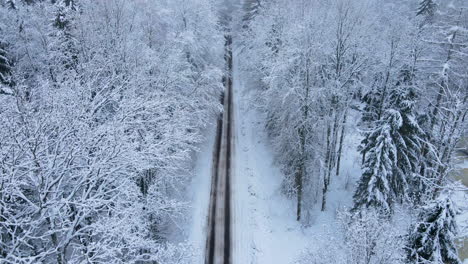 vista de arriba hacia abajo de la carretera del pueblo a través de un bosque de invierno cubierto de nieve, movimiento aéreo hacia adelante