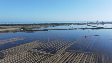 flooded rice paddies and coastal area