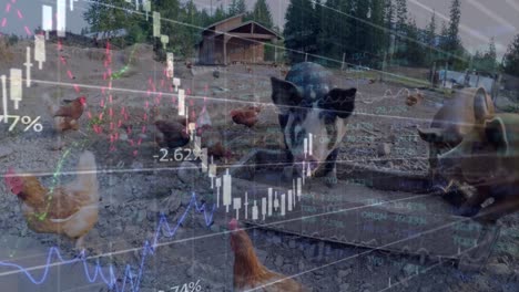 animation of financial graphs over farm animals