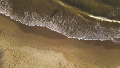 aerial top view shot of surfer leaving water after surfing in the ocean during golden sunset - la pedrera beach,uruguay