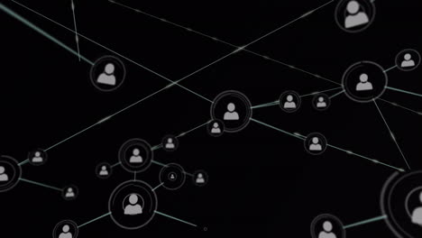 animación digital de la red de iconos de perfil contra un fondo negro