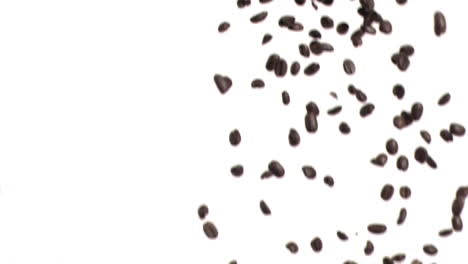 Coffee-beans-falling-in-super-slow-motion