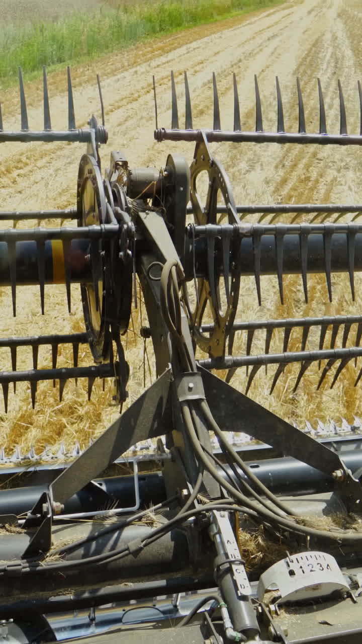 Rotating knives grain harvester. Metal part of combine harvester for harvesting in the yellow field. Agricultural machinery. Vertical video