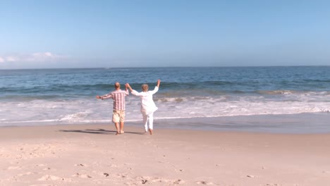una pareja mayor en la playa.