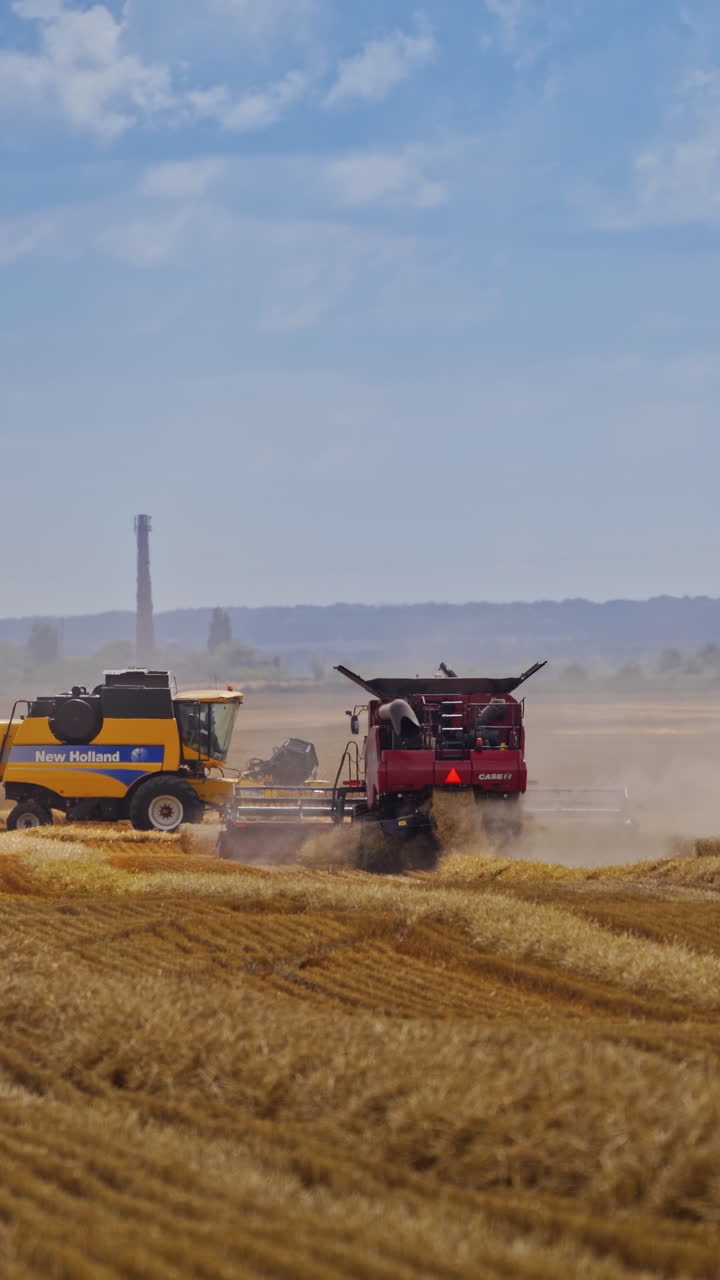 Working Harvesting Combine. Harvester harvest ripe wheat on farm. Vertical video