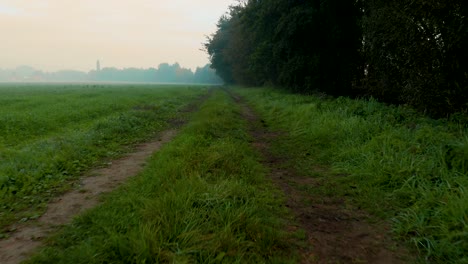 Disparo-De-Drone-Volando-Hacia-Adelante-A-Lo-Largo-De-La-Superficie-De-Un-Camino-De-Hierba-Cerca-De-Un-Bosque-De-Niebla