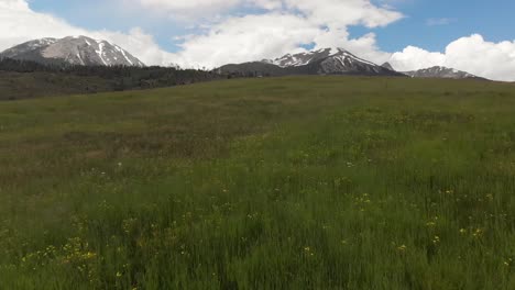 Snow-covered-rocky-mountains-and-open-hillside-fly-over-tall-grass-during-the-spring