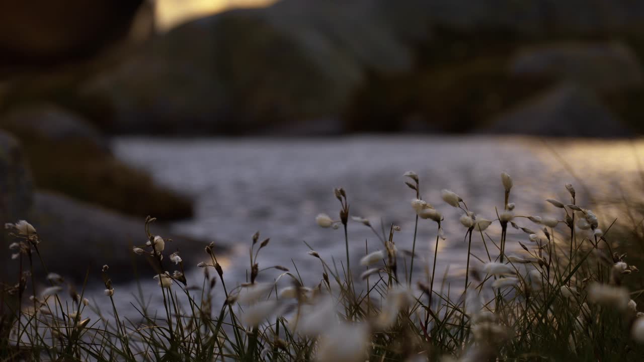 A peaceful nature scene in Norway showing soft grass by the water with rocks in the background
