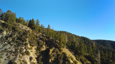 pine forest on san gabriel mountains against clear blue sky