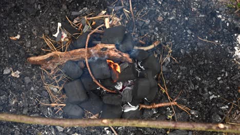 pequeño fuego de carbón