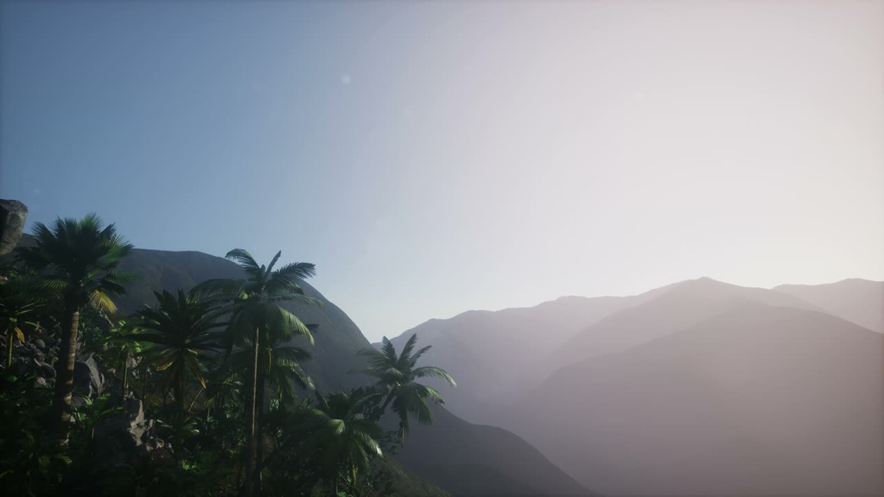 ⁇ 나무 를 가로지르는 해 가 지는 광선