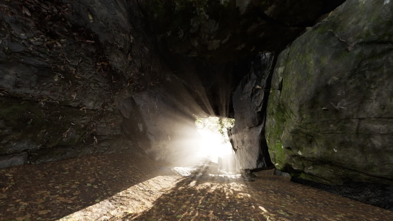 Sunlight Streaming Through a Cave Opening in a Forest