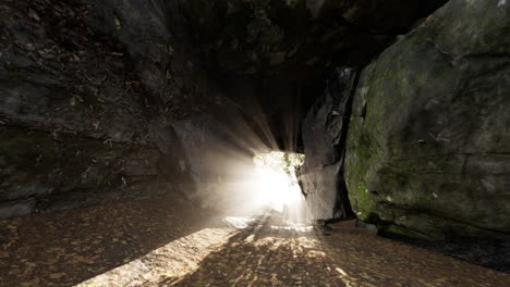 sunlight streaming through a cave opening in a forest