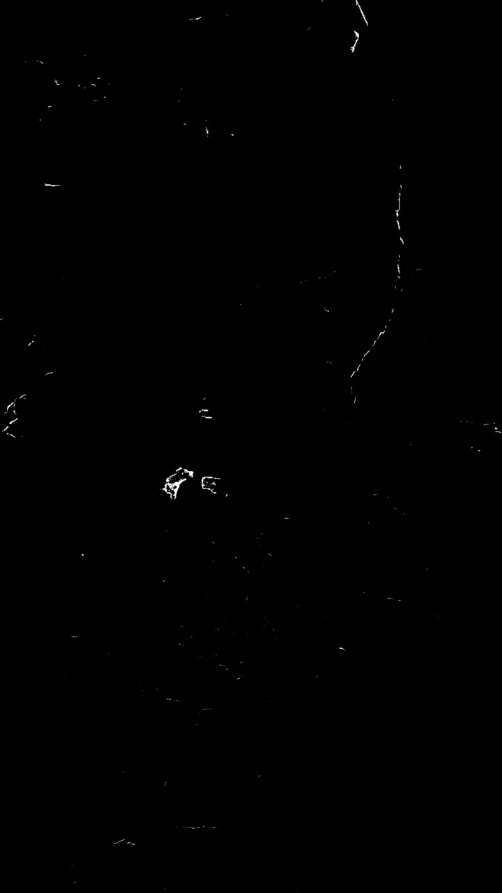 Abstract Black and White Grunge Film Overlay