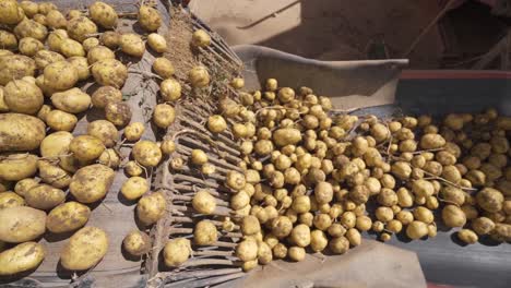 potatoes falling from conveyor belt in slow motion.