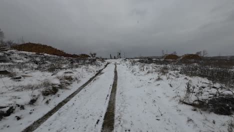 Pan-on-a-wintery-Thuringia-woodland-in-devastating-condition-with-many-dead-trees