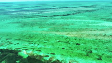 vista expansiva de un hermoso piso en las bahamas que muestra colores vibrantes del agua