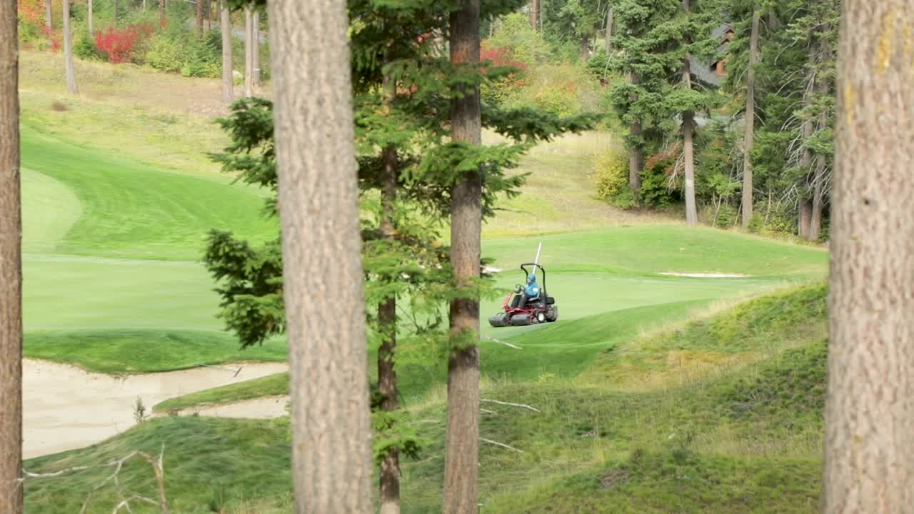 골프 코스에서 잔디를 깎고 있는 잔디