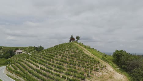 paisaje de viñedos en italia