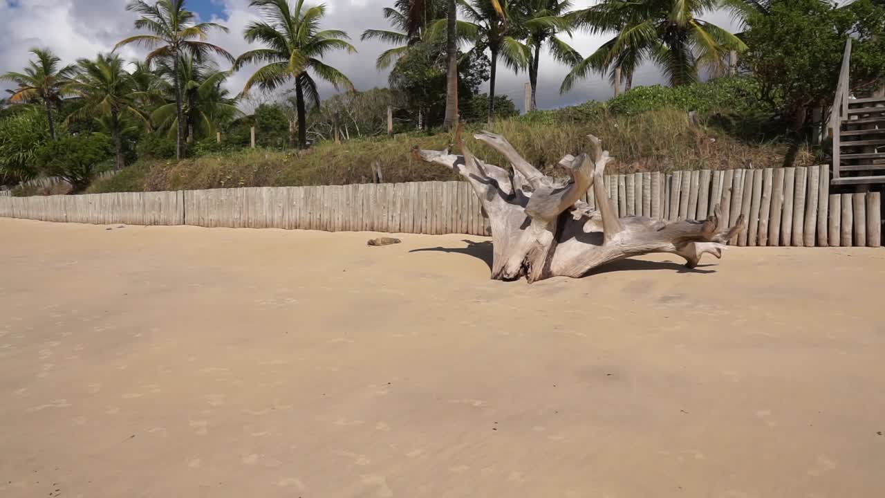 Tropical beach sunny day in Arraial D'Ajuda Bahia Brazil: Low Tide