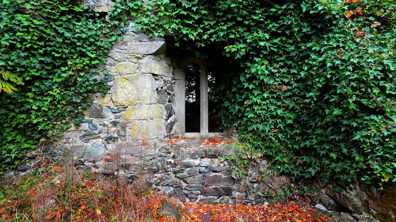 Ireland Epic Locations abandoned places window to the past overgrown and forgotten in rural Ireland