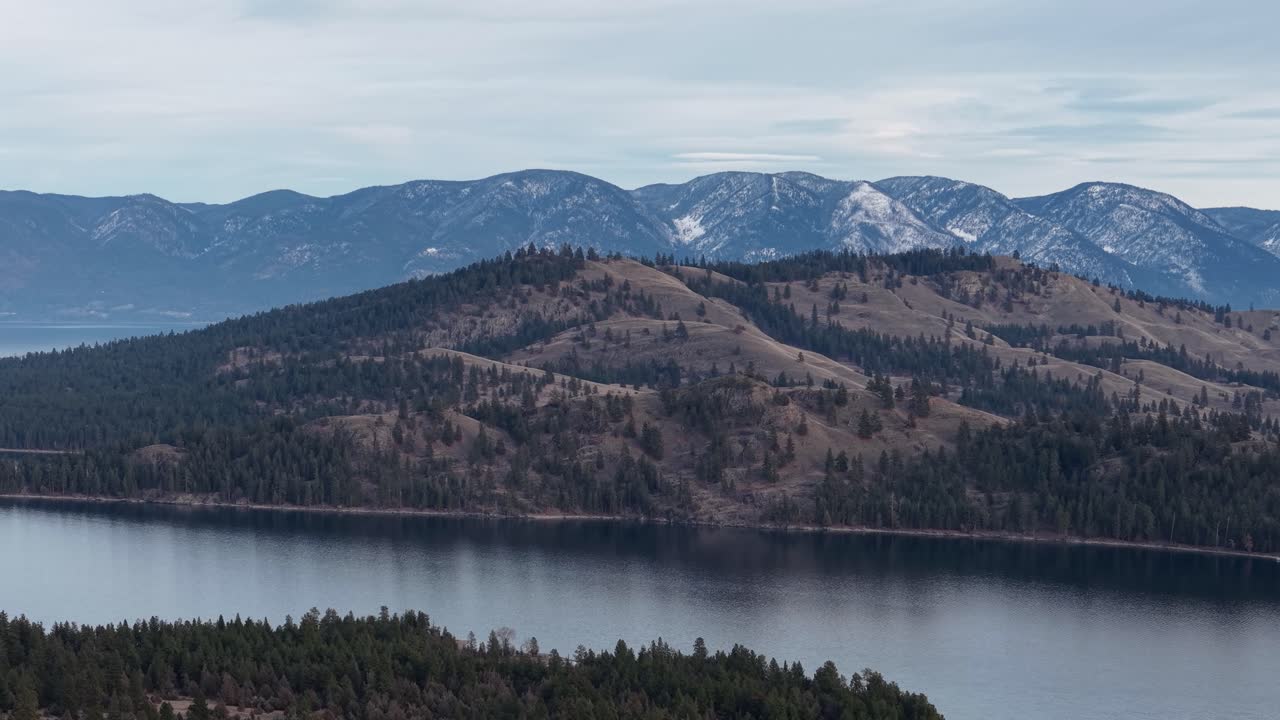 Un filmato aereo con drone mostra una vista panoramica sul lago Flathead vicino a Whitefish, Montana, con colline coperte di alberi che conducono a montagne innevate sotto un cielo blu. Nessun animale visibile
