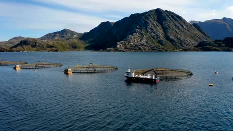 aerial footage farm salmon fishing in norway