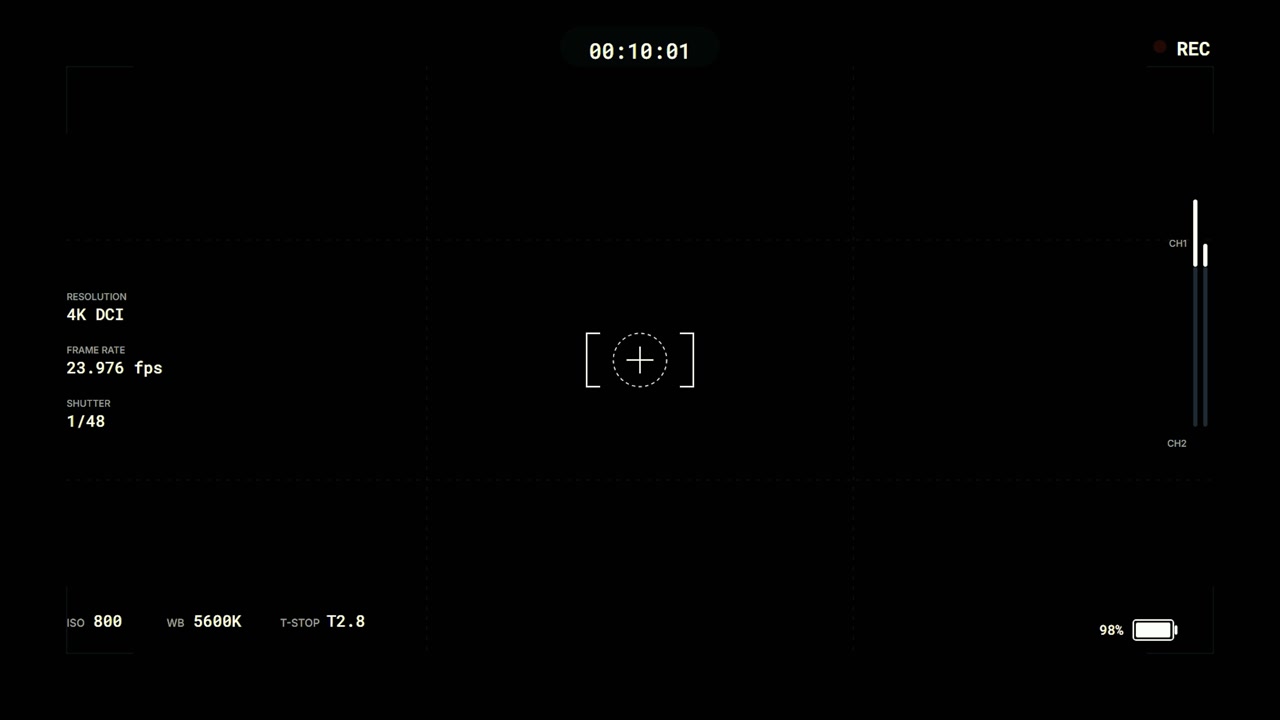 Digital Camera Recording Interface Overlay