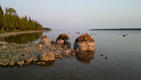 Aerial-flyover-lichen-boulders-on-forested-coastline,-Michigan