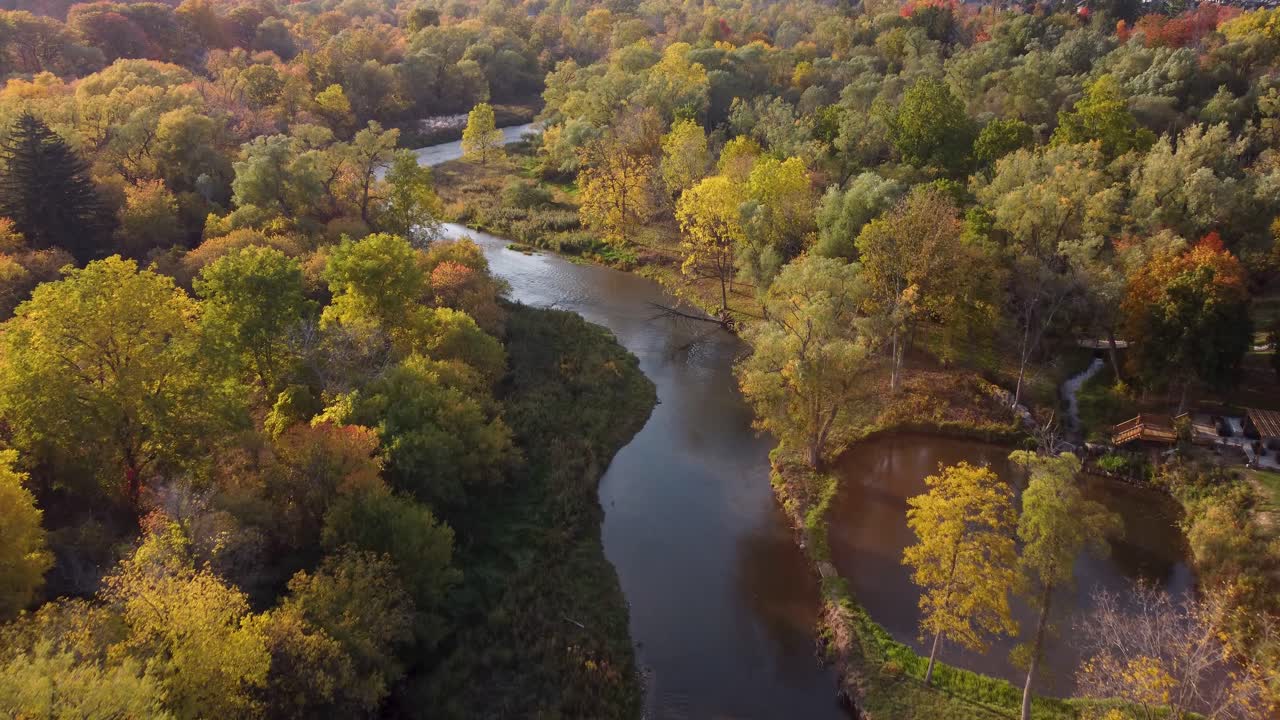 따뜻한 붉은색과 오렌지색으로 공원과 나무 위를 날다